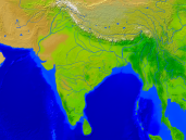India Vegetation 1600x1200